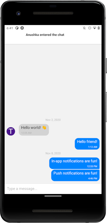 Screenshot: Entered chat